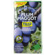 Growing Success - Plum maggot monitoring trap