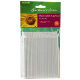 Plant label and pencil pack (50 labels)