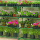 Storage and greenhouse shelving (2 pack)