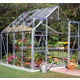 Halls Magnum 8x8 aluminium greenhouse. Horticultural glass