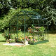 Halls Supreme 66 aluminium greenhouse. Horticultural glass