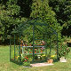 Halls Popular 46 aluminium greenhouse. Toughened glass