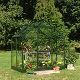 Halls Popular 46 aluminium greenhouse. Horticultural glass