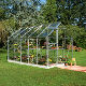 Halls Popular 106 aluminium greenhouse. Toughened glass