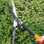 Cutting & Clearing