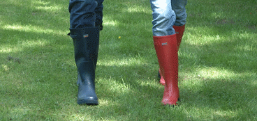 Footwear