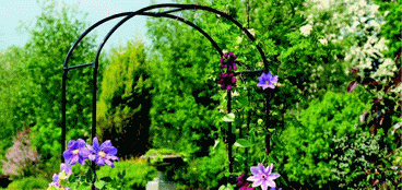 Plant Support & Netting