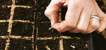 Propagation & Protection